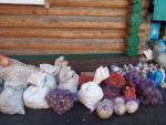 IMG_20260823_133624