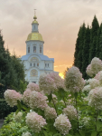 IMG_20260831_150335_414