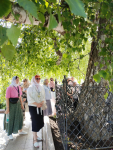 IMG_20260809_154113_835