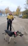 008