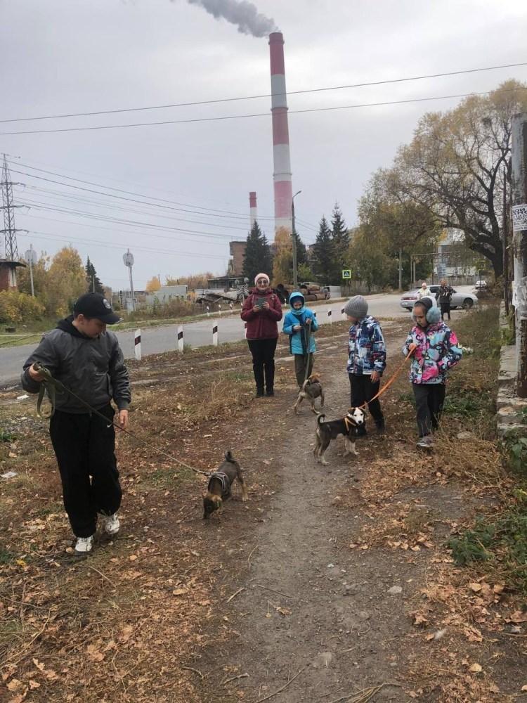 IMG_20251012_195102_535