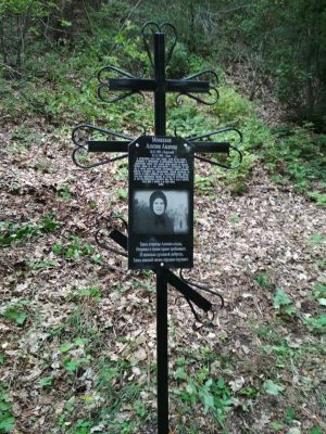 В селе Вышелей освятили памятный крест в честь монахини Алипии (Авдеевой)