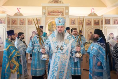 В престольный праздник митрополит Серафим совершил литургию во Владимирском храме села Лебедевки