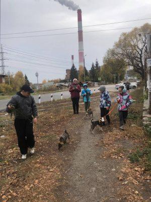 Православные добровольцы помогли в приюте для животных